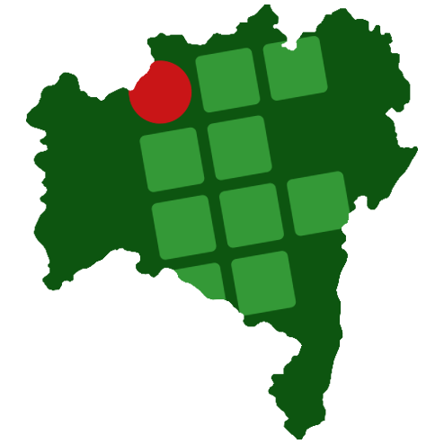 Ícone Bahia